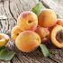 Apricots
