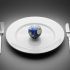 How much do our eating habits affect climate change?