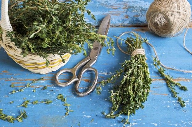 Thyme-infused broths