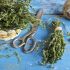 Dried herb mix