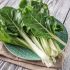 Swiss chard