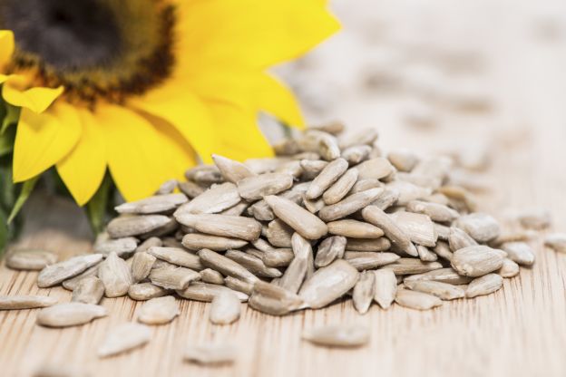 Sunflower Seeds