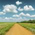 Take weekend getaways
