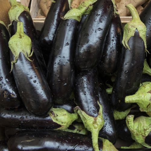 Eggplant