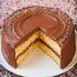 Yellow Cake