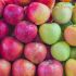Apples