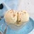 HOMEMADE ICE CREAM