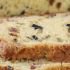 Tasty bacon, cheese and olive cake
