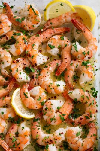 Shrimp
