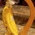 Cover Banana Tops with Plastic Wrap
