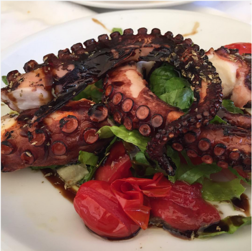 Grilled octopus