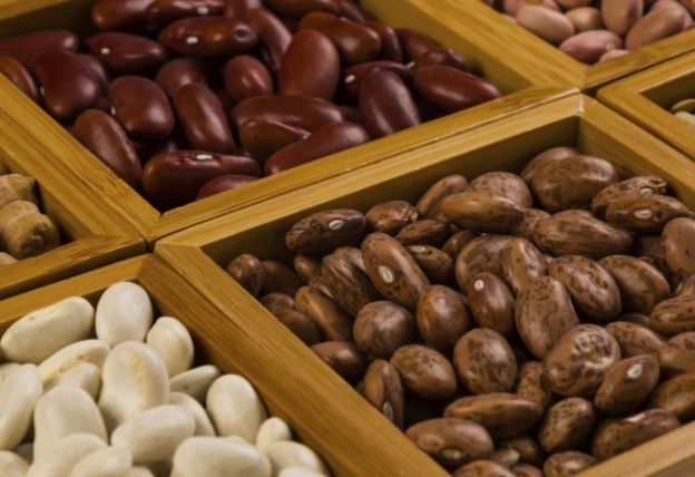 Beans