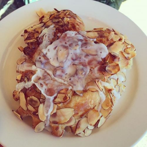 Bear Claw - United States