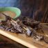 BEEF SATAY SKEWERS WITH HABANERO PEANUT SAUCE