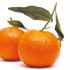 Clementines