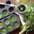Frozen Kale Smoothie Blocks