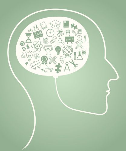 Eat for intelligence