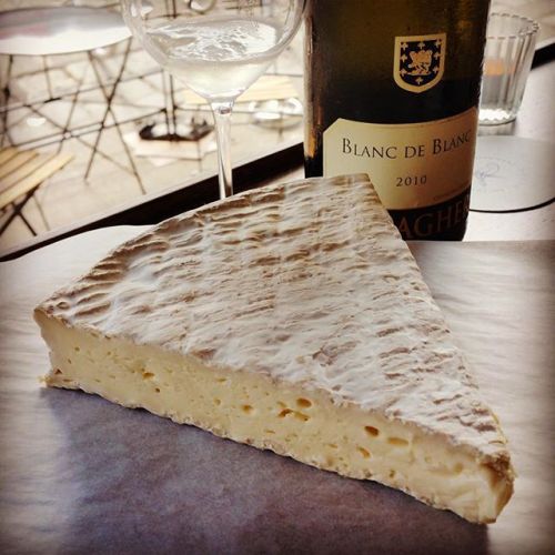 Brie - France