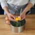 Prepare the lime mint cream