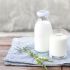 Milk & Yogurt