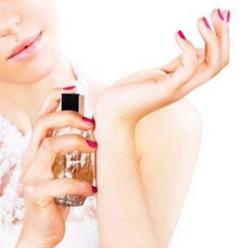 Find your signature perfume