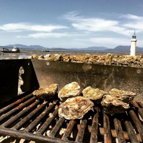 Taylor Shellfish Farms - Bow, WA