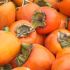 Persimmon