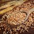 Wheat germ