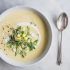 Corn and Leek Bisque