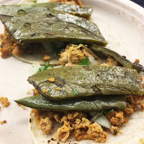 Nopalitos Tacos (Cactus Tacos)