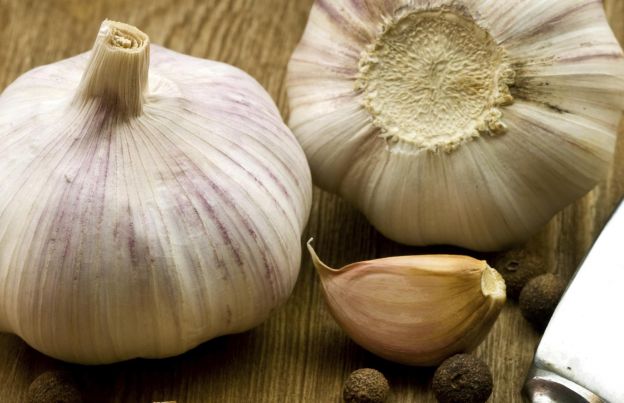 Garlic