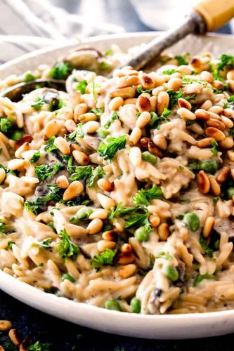 Mushroom Orzo Pasta in Asiago Thyme Sauce