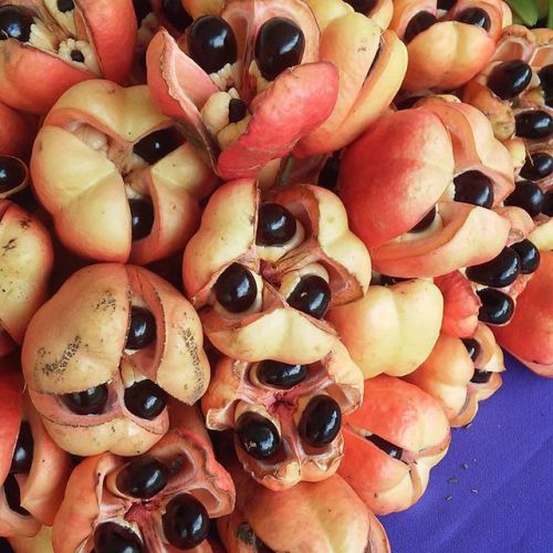 Ackee