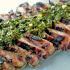 Churrasco - Latin American Marinated Skirt Steak