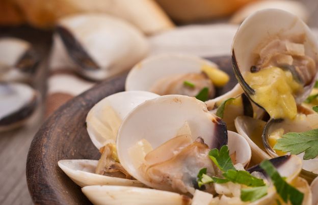 Shellfish