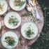 Cold Avocado Soup