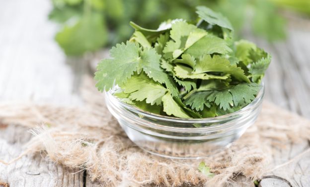 Coriander immediately adds flavor to every dish