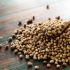 Coriander Seeds