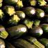 Zucchini
