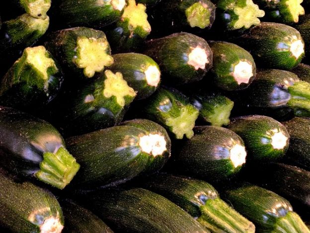 Zucchini