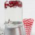 Dress up your ice cubes with cranberries