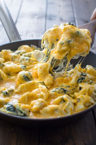 CREAMY SPINACH TORTELLINI