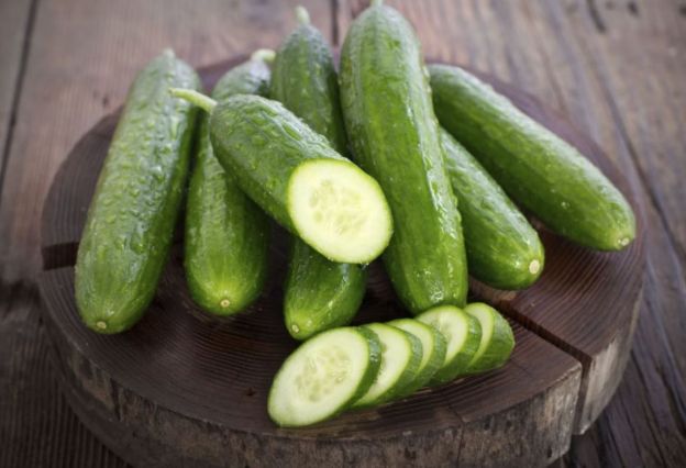 Cucumber