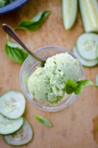 Cucumber basil sorbet