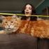 WORLD'S LONGEST CAT