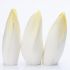 Loose Endives
