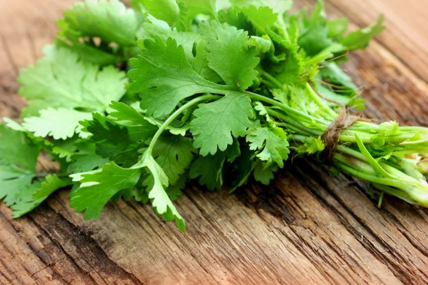 Why does cilantro taste like soap to some people and not others?