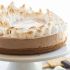 No Bake S'mores Cheesecake