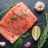 Salmon
