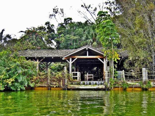 Disney’s Discovery Island – Lake Buena Vista, Florida